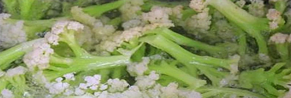 焯煮、油炸設(shè)備