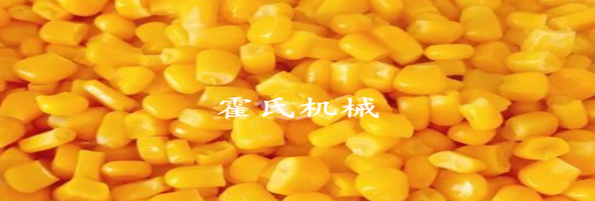 焯煮、油炸設(shè)備