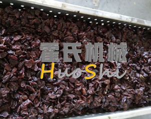 蒸女貞子、黃精體驗(yàn)